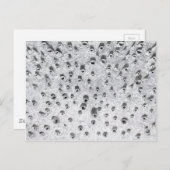 allí、より乾燥した世界 ポストカード (正面/裏面)