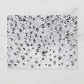 allí、より乾燥した世界 ポストカード