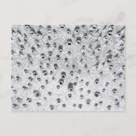 allí、より乾燥した世界 ポストカード