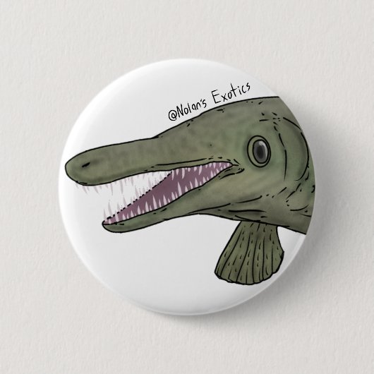 Alligator gar pin 缶バッジ (正面)