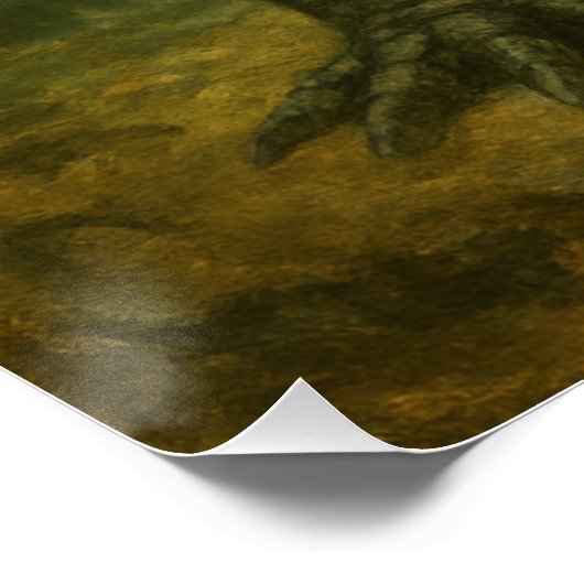 Alligator Poster ポスター (コーナー)