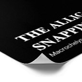 Alligator Snapping Turtleのポスター ポスター (角)