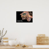 Alligator Snapping Turtleのポスター ポスター (キッチン)