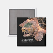 Alligator snapping turtle マグネット (正面/裏面)
