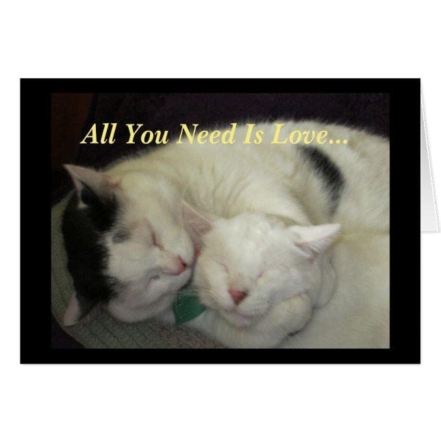 Allis及びAbbieはあなたが必要とする猫すべて愛カードです (正面横)