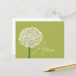  Allium Flower Botanical Art | Elegant Flora ポストカード