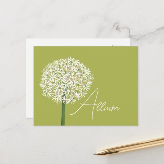  Allium Flower Botanical Art | Elegant Flora ポストカード (正面/裏面インサイチュ)