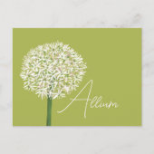  Allium Flower Botanical Art | Elegant Flora ポストカード (正面)