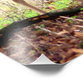 allow Deer of the English Estate フォトプリント (角)