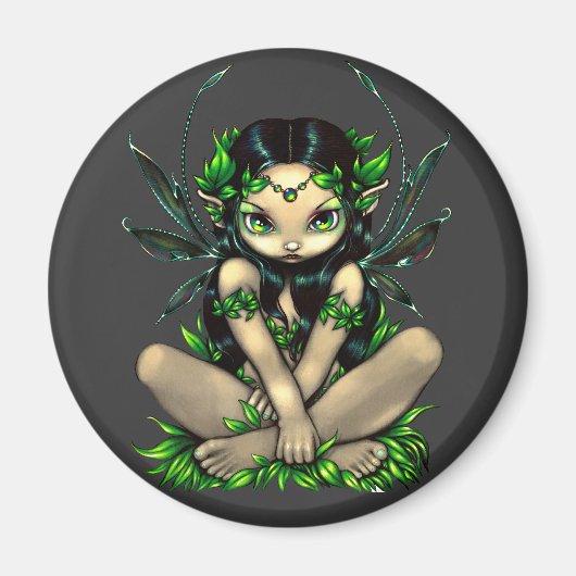 Alluraマグネット マグネット (正面)