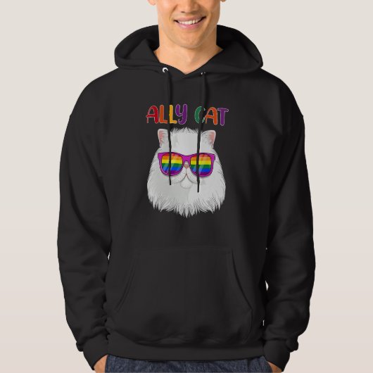 Ally Cat LGBT Gay Rainbow Pride Flag  Cat  3 パーカ (正面)