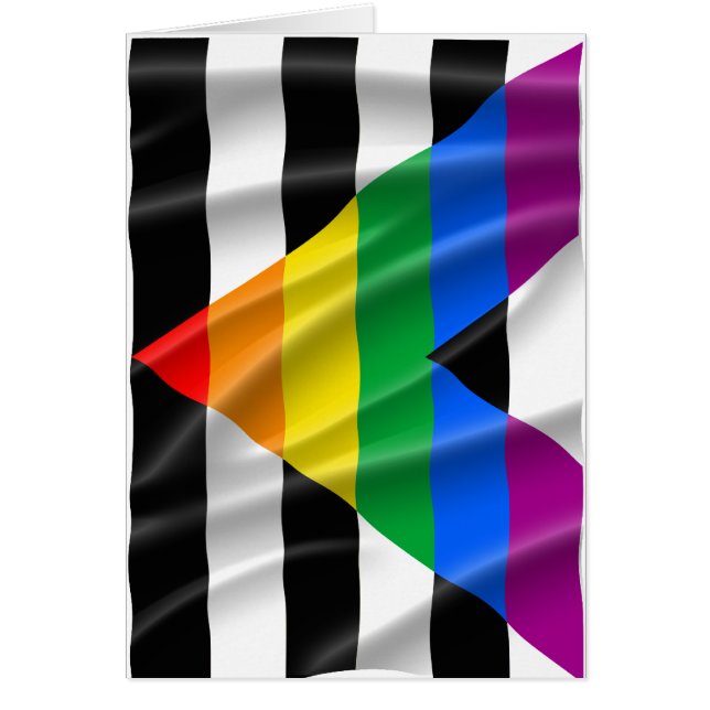 ALLY FLAG FLYING -.png (正面)