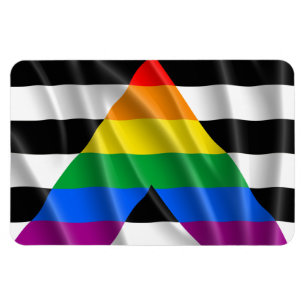 ALLY FLAG FLYING -.png マグネット