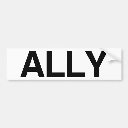 ALLY - .png バンパーステッカー (正面)