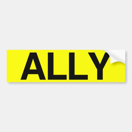 ALLY - .png バンパーステッカー (正面)