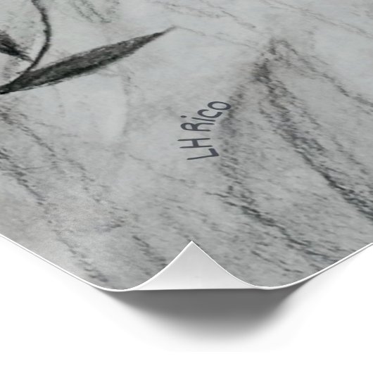 Alma Xamã ポスター (コーナー)