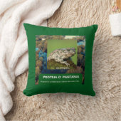 Almofada 40,6 cm x 40,6 cm Sapo クッション (ブランケット)