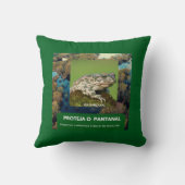 Almofada 40,6 cm x 40,6 cm Sapo クッション (裏面)