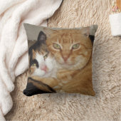 Almohada Decorativa  Gatos クッション (ブランケット)