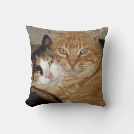 Almohada Decorativa  Gatos クッション (正面)