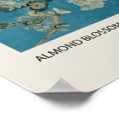 Almond Blossom ポスター (角)