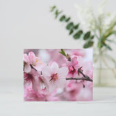 Almond [Postcard] ポストカード (スタンド正面)