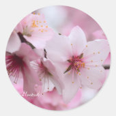 Almond [Round Seal] ラウンドシール (正面)