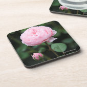 Alnwickの城は上がりました コースター (左側)