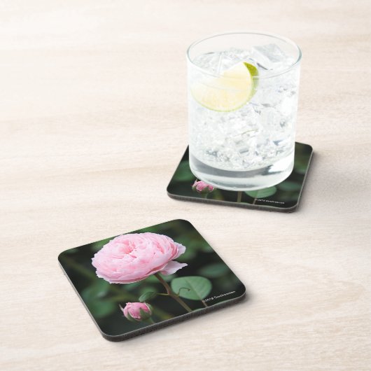 Alnwickの城は上がりました コースター (右側)