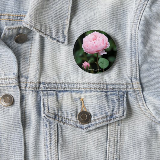 Alnwickの城は上がりました 缶バッジ (インサイチュ)