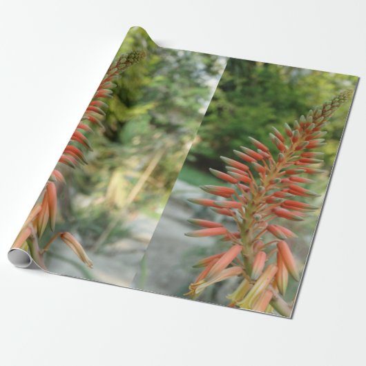 Aloe Vera Photo Linen Wrapping紙、30インチx 6フィート ラッピングペーパー (アンロールド)
