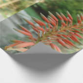 Aloe Vera Photo Linen Wrapping紙、30インチx 6フィート ラッピングペーパー (角)
