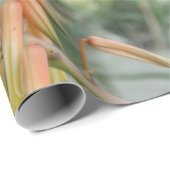 Aloe Vera Photo Linen Wrapping紙、30インチx 6フィート ラッピングペーパー (ロールコーナー)