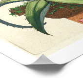 Aloe Vera Vulgaris, from 'Phytographia Crosa', p ポスター (角)