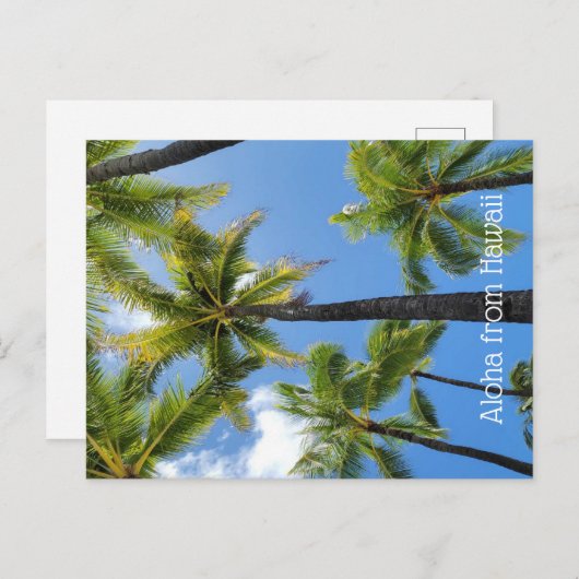 Aloha from Hawaii ポストカード (正面/裏面)