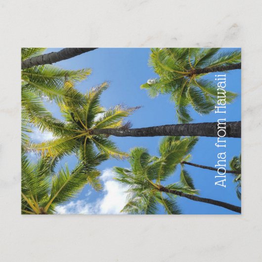 Aloha from Hawaii ポストカード (正面)