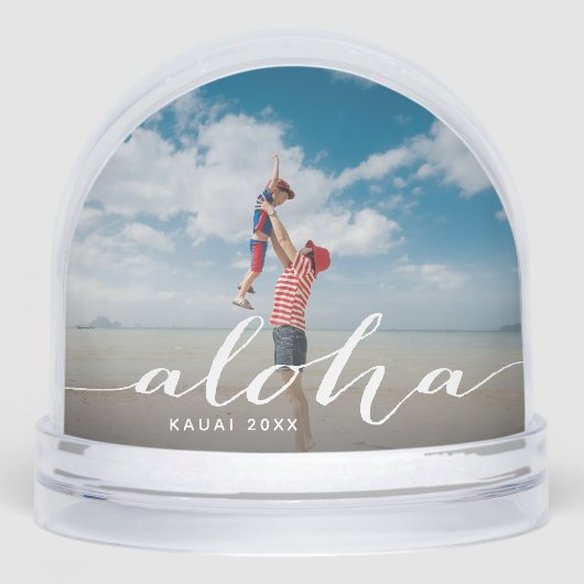 Aloha Hawaii Vacation Photo (正面)