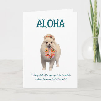 Aloha Joke Card with Pup カード