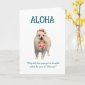 Aloha Joke Card with Pup カード (黄色い花)