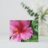 Aloha! Pink Hibiscus ポストカード (スタンド正面)