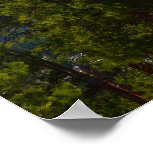 Alone/Supportのポスターではない ポスター (角)