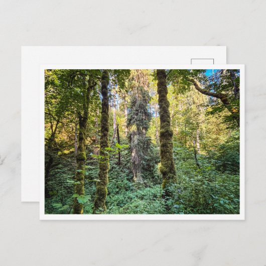 Along the way ポストカード (正面/裏面)