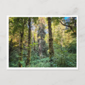 Along the way ポストカード (正面)