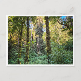 Along the way ポストカード