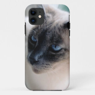Aloof Siame Cat Case-Mate iPhone 5ケース 11 ケース