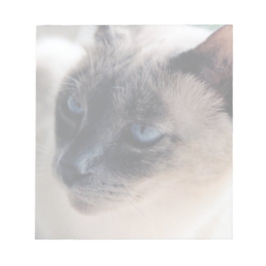 Aloof Siamese Catメモ帳 ノートパッド (正面)