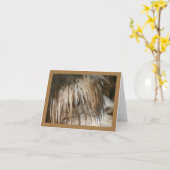 Alpacaクローズアップ – カード (黄色い花)