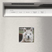 Alpaca私のバッグはアドベンチャーマグネット マグネット (インサイチュ (食洗機))