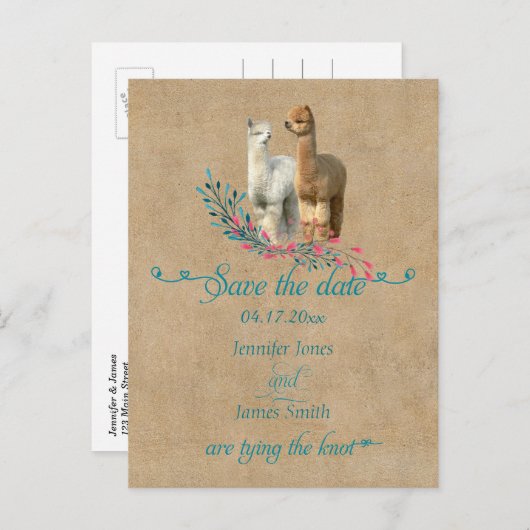 Alpaca Country日付はがきを保存する 案内ポストカード (正面/裏面)