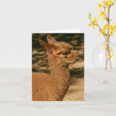 Alpaca Cria (ベビー) - "Papa's Surprince" カード (黄色い花)